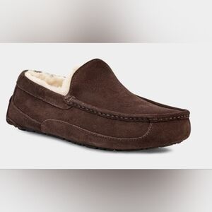 Size 14 - UGG Men's Ascot Slippers Brown Suede Wool Loafers